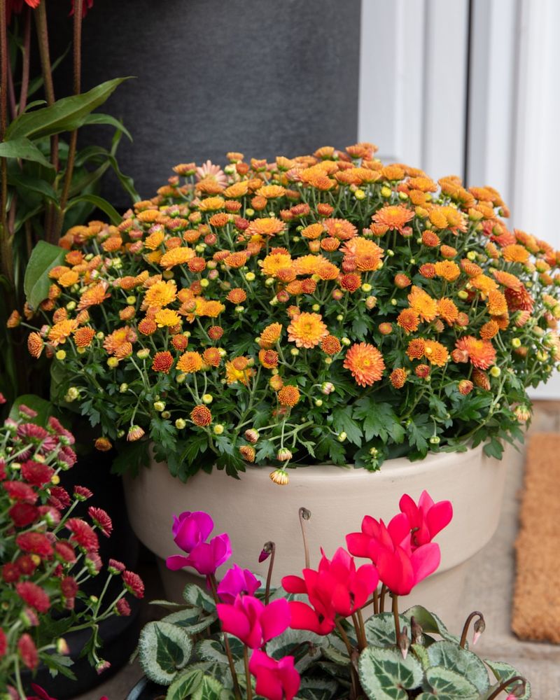 Improve Drainage in Containers