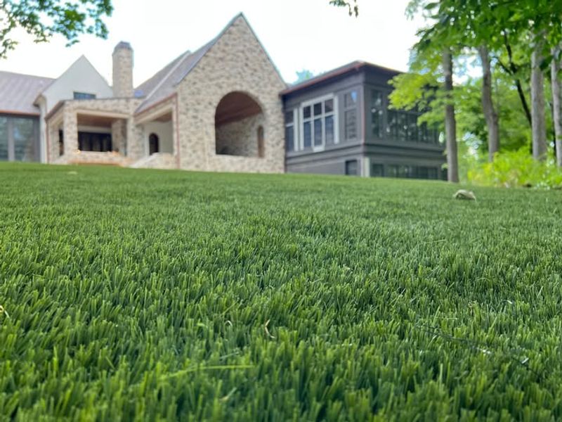 Artificial Turf And Synthetic Grass