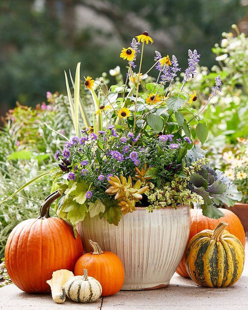 Bring Fragrance With Autumn-Blooming Flowers