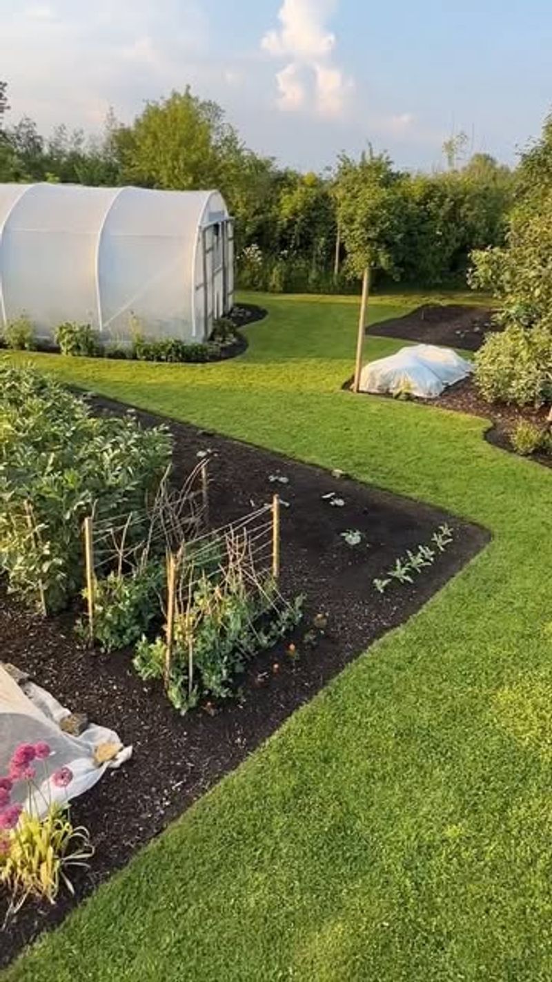 Shaded Spots With Less Than Six Hours Of Sun
