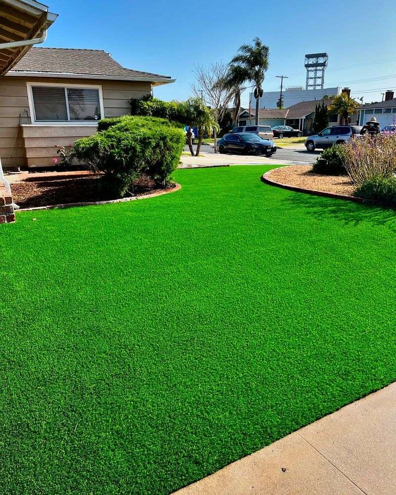 Speeds Up Spring Green-Up