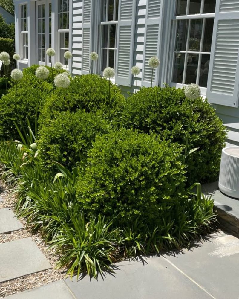 Aesthetic Considerations For Year-Round Appeal