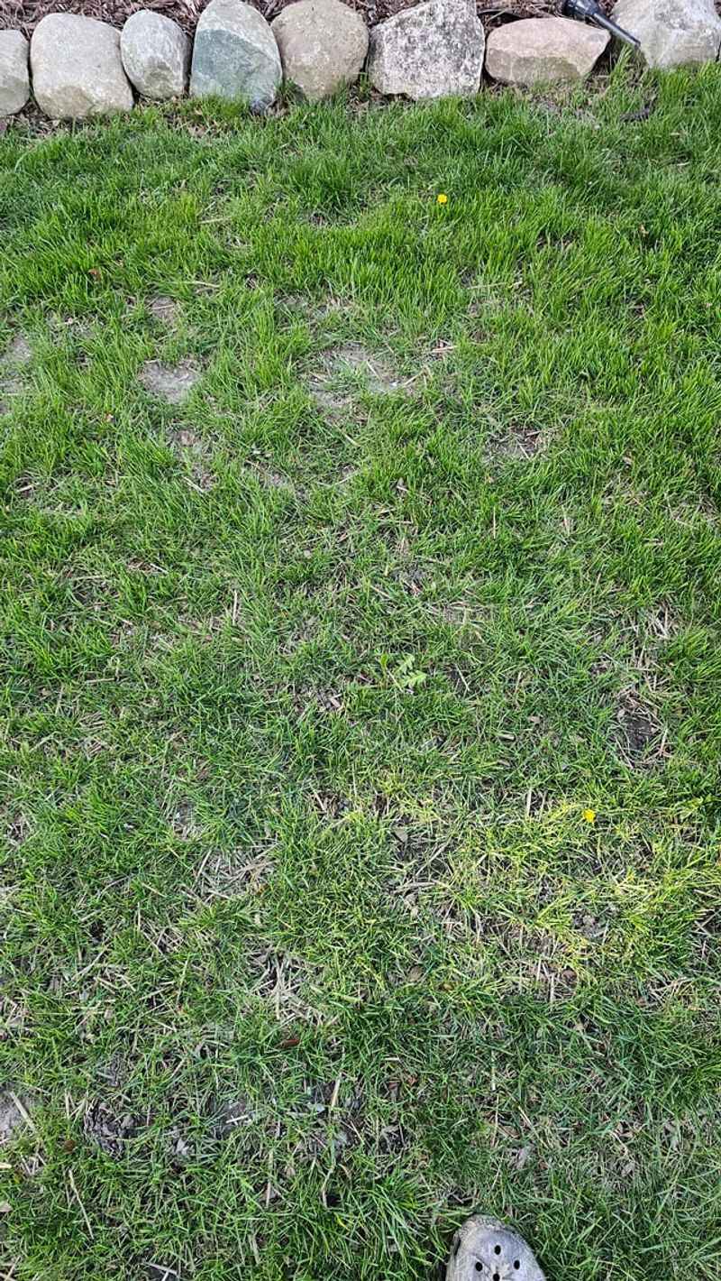 Reduce Mowing Frequency as Temperatures Drop