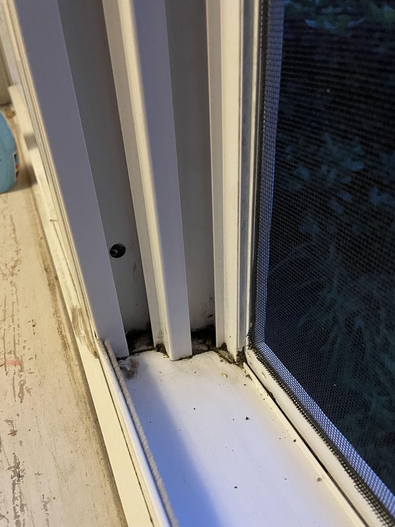 Clearing Debris from Window Wells