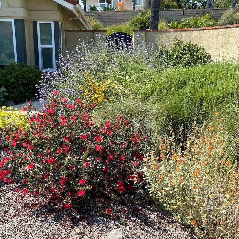 Compact Size Fits Smaller Garden Spaces