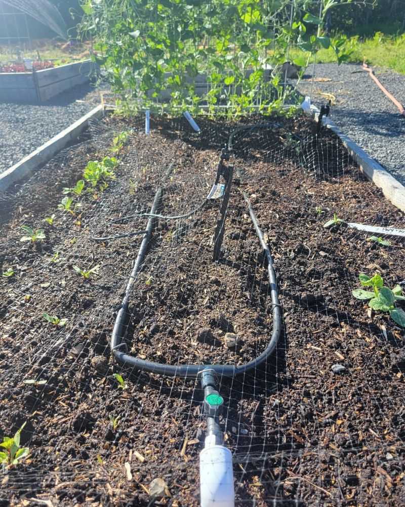 Install A Proper Drainage System