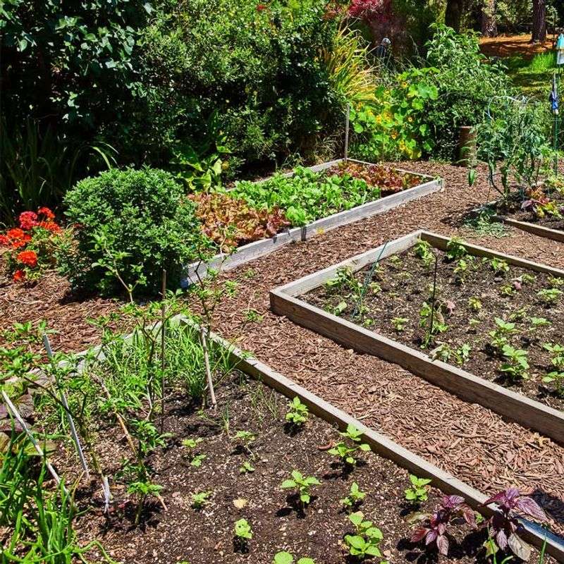 Practice Crop Rotation Each Season