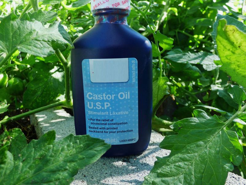 Apply Castor Oil Solutions