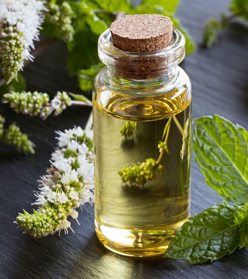 Apply Peppermint Oil Around Garden Beds
