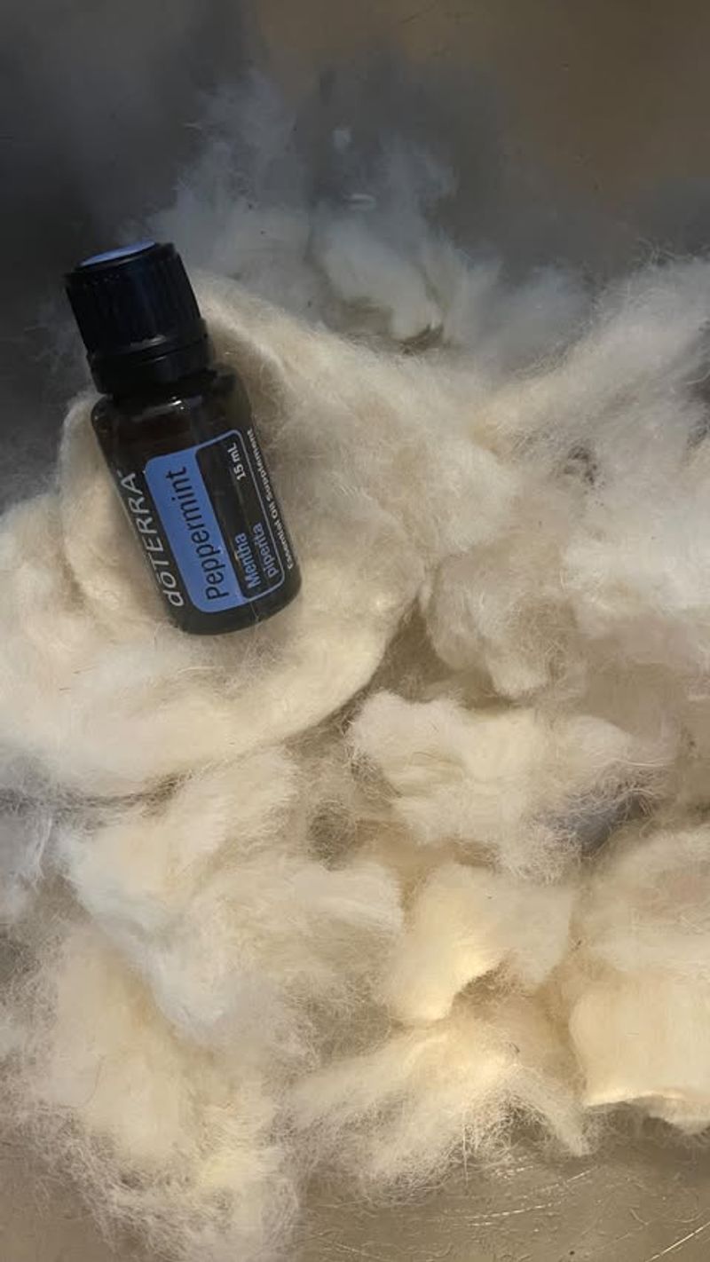 Apply Peppermint Oil Soaked Cotton Balls