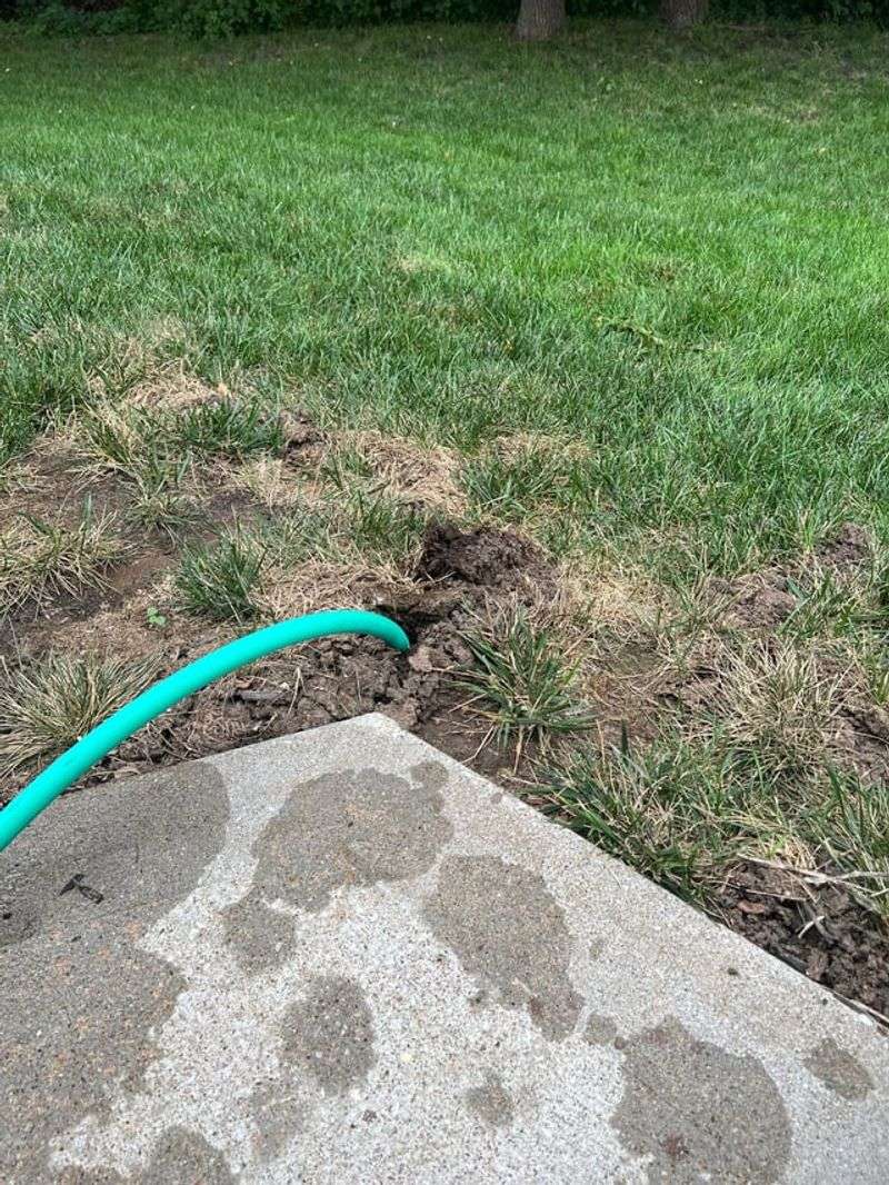 Flood Their Tunnel Systems Thoroughly