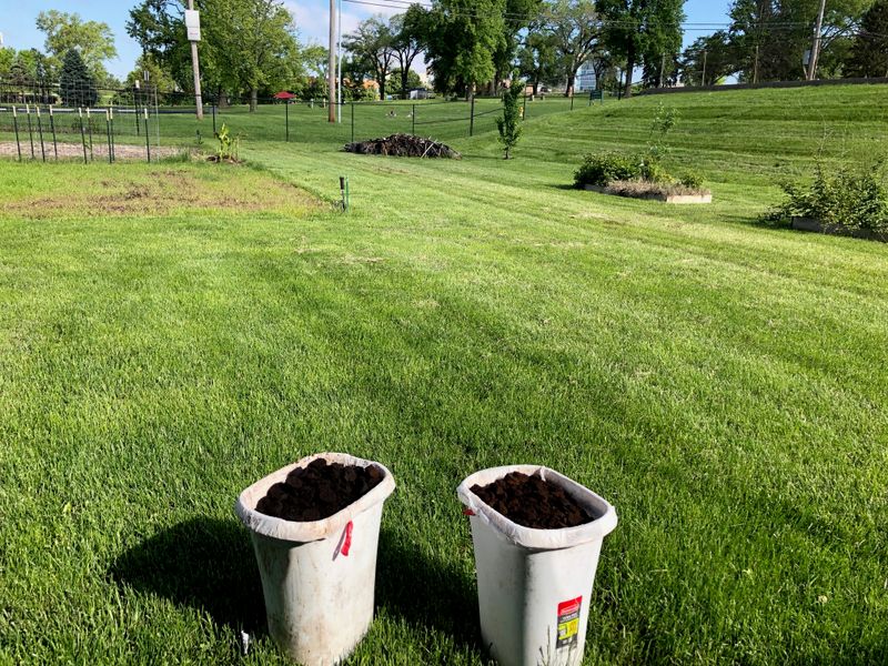 Use Coffee Grounds As A Natural Repellent