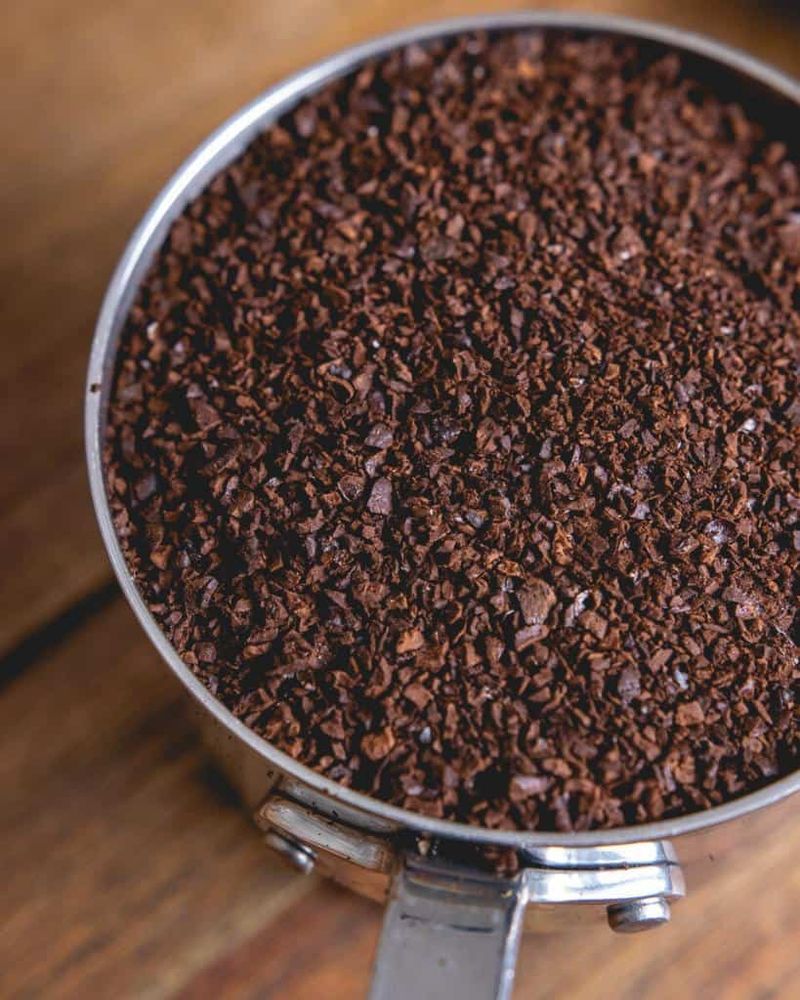 Apply Coffee Grounds Around Problem Areas