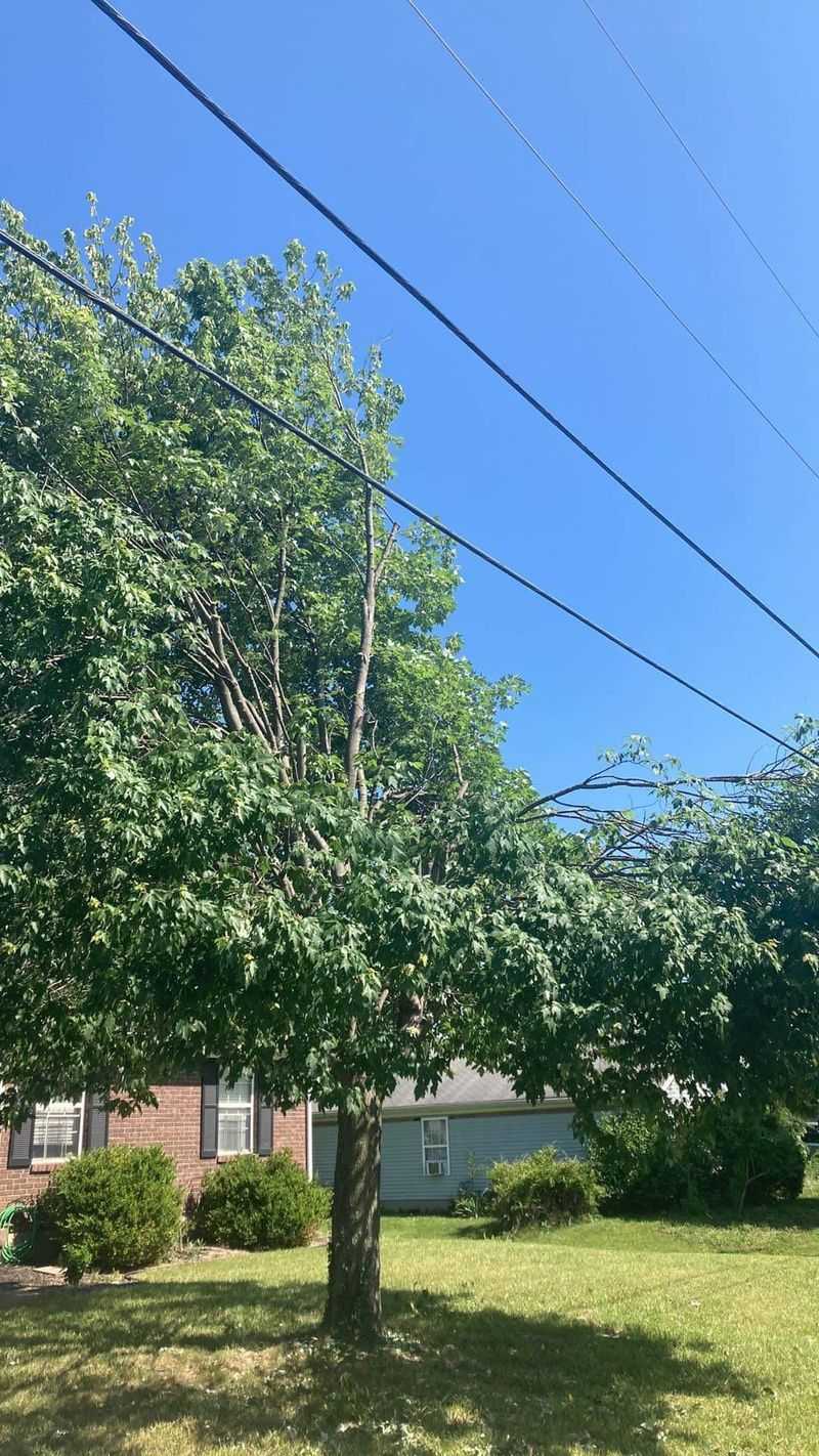 Protects Property and Power Lines