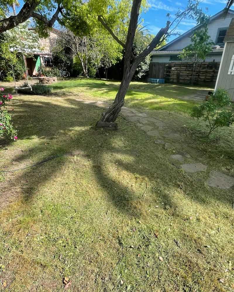 Makes Spring Cleanup Much Easier