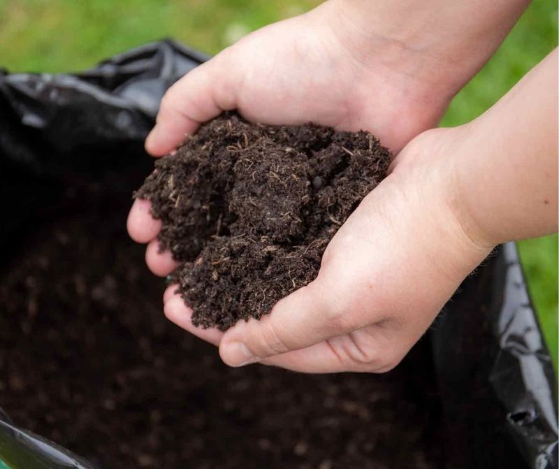 Supports Beneficial Soil Microbes