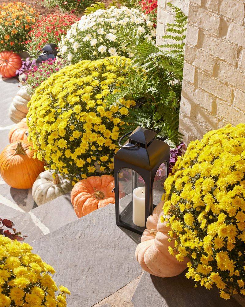 Overlooking Plant Size And Spacing Needs