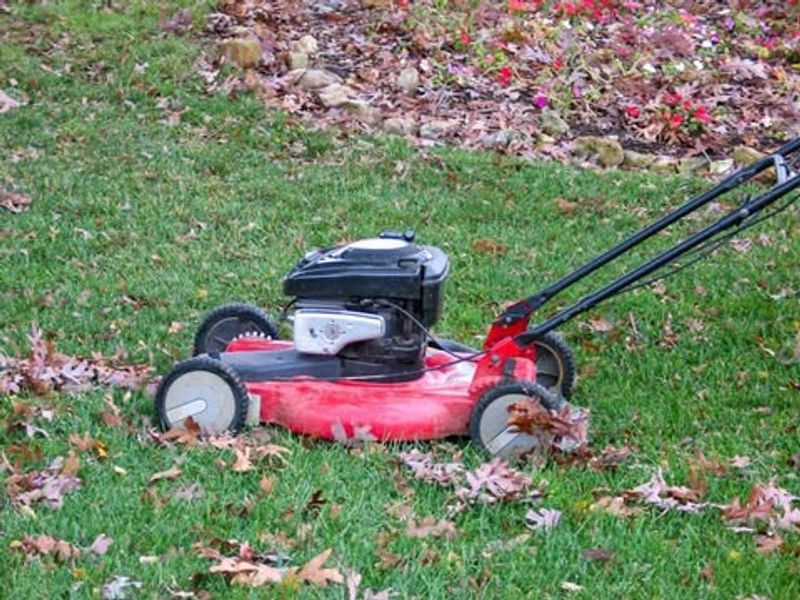 Cutting Grass Too Short Before Winter