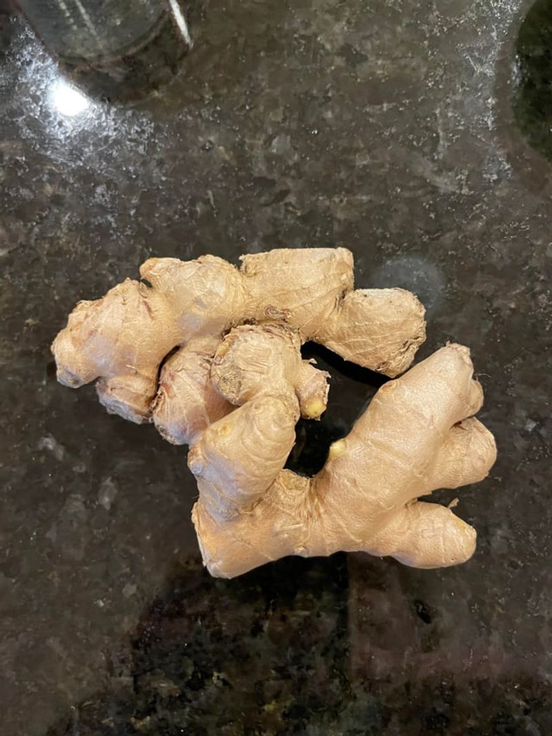 Harvest After Foliage Dies Back