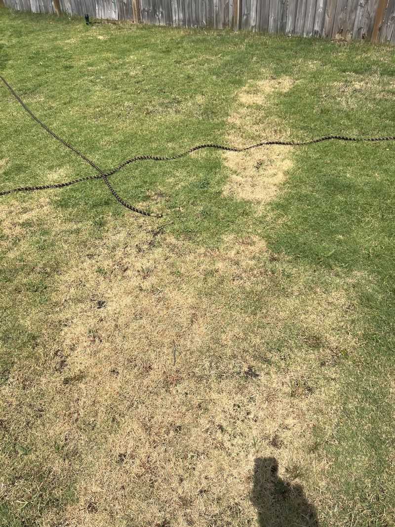 Over-Applying Fertilizer For Quick Results