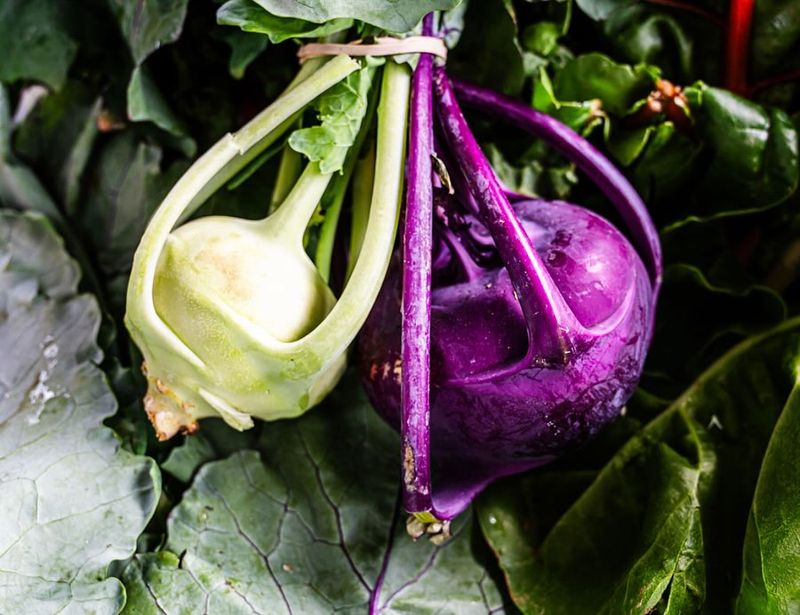 Winter Harvests Save Money