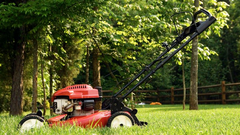 Keep Your Mower Blades Sharp