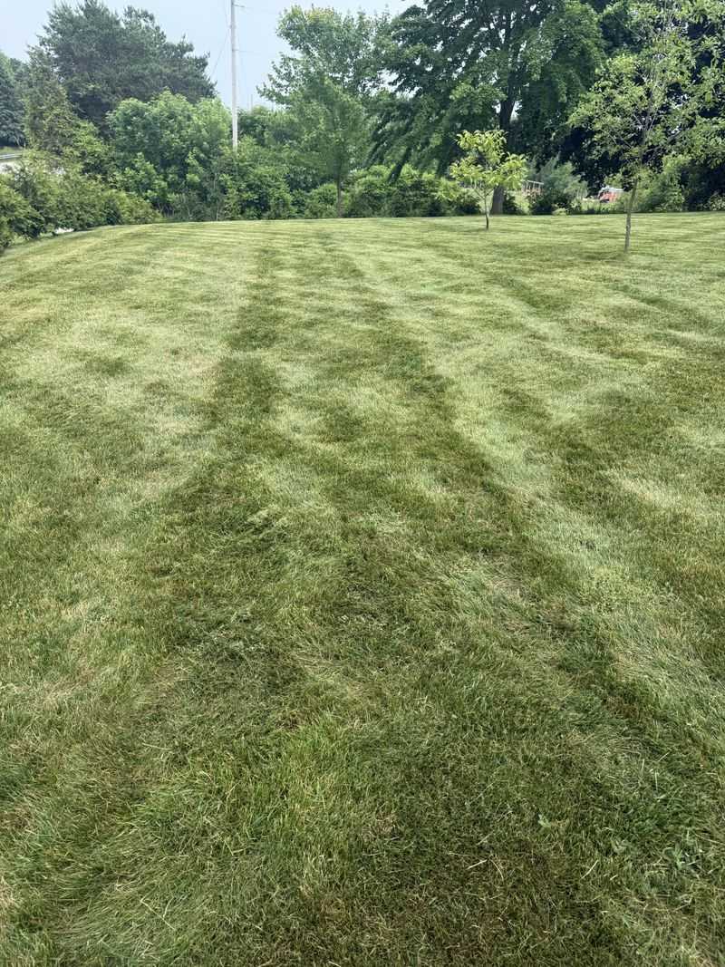 Change Your Mowing Pattern