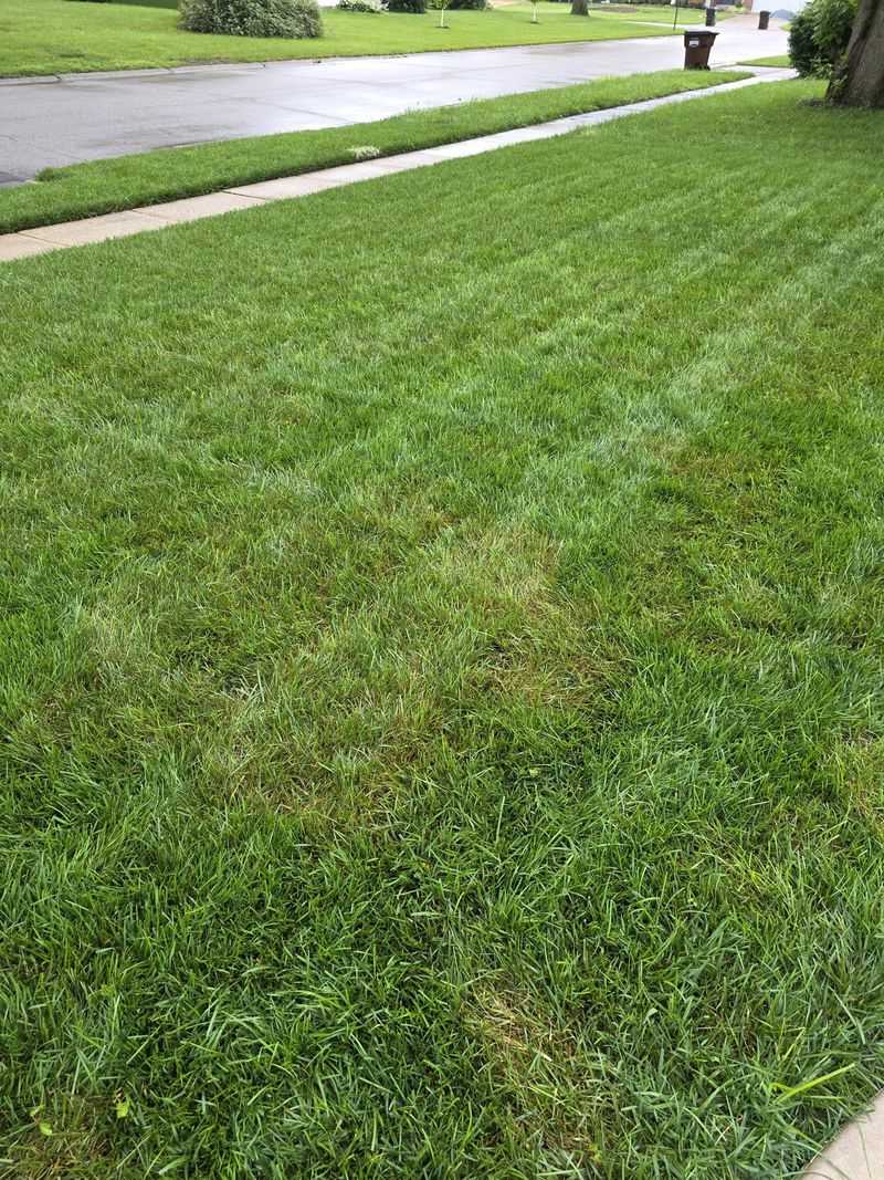 Watering at Wrong Times