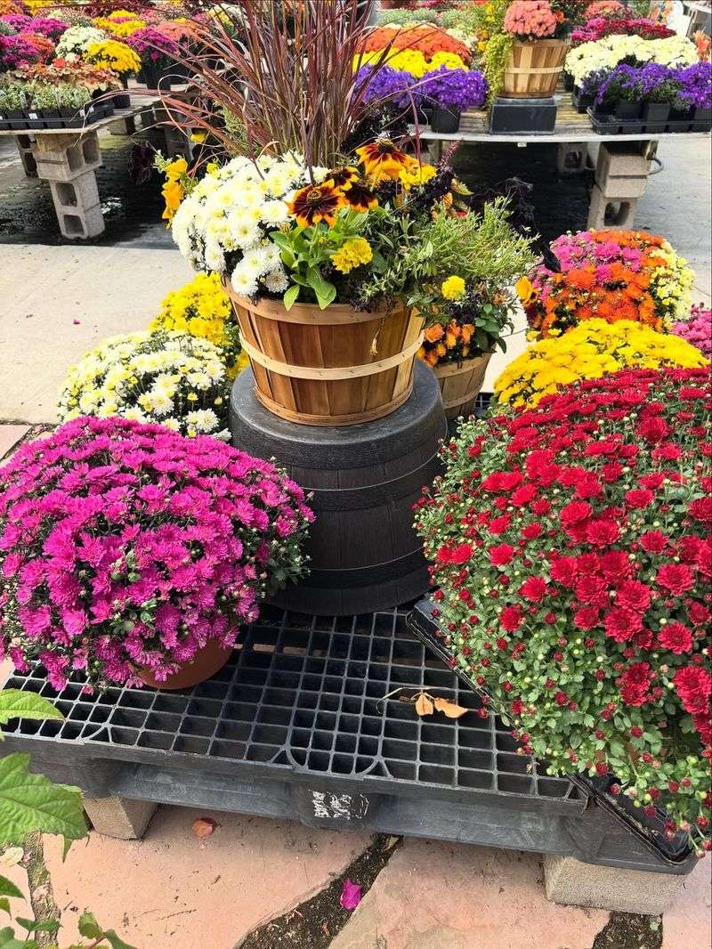 Buying From Suppliers Who Don't Harden Off Plants