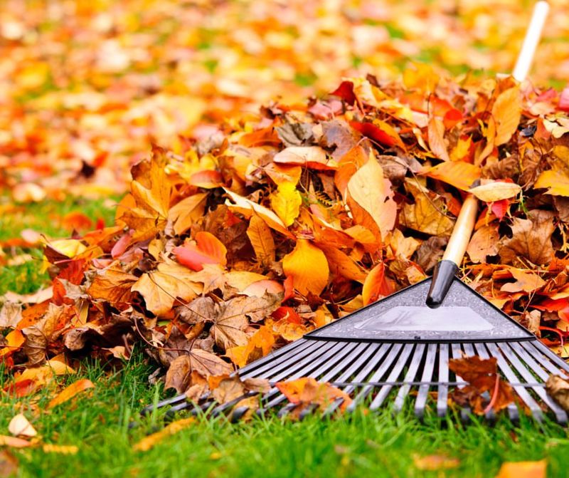 Using Summer Lawn Care Products