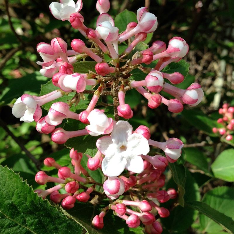 Handles Nebraska's Unpredictable Weather Like A Champion