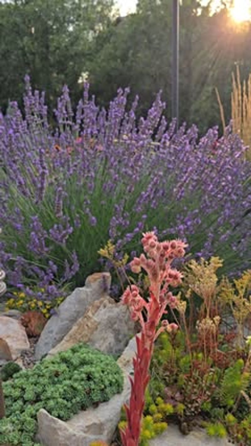 Year-Round Structure and Texture