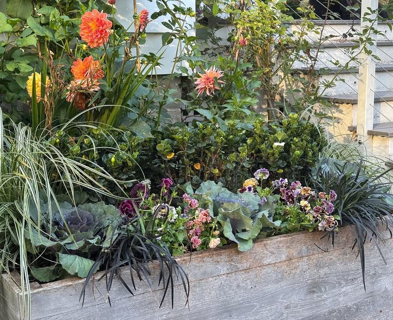 Natural Flowers Have Disappeared