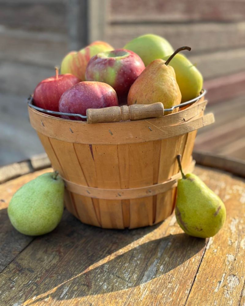 Apples And Pears