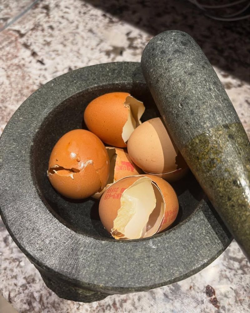Eggshells Crushed Into Small Pieces