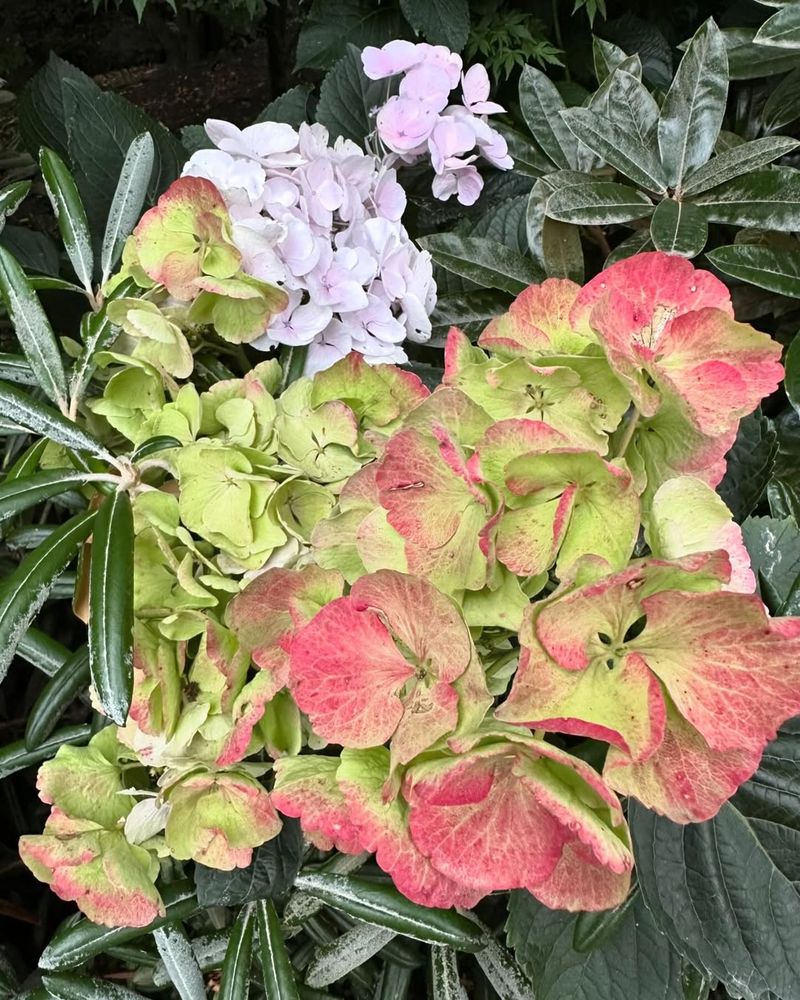 Stop Fertilizing Your Plants Immediately