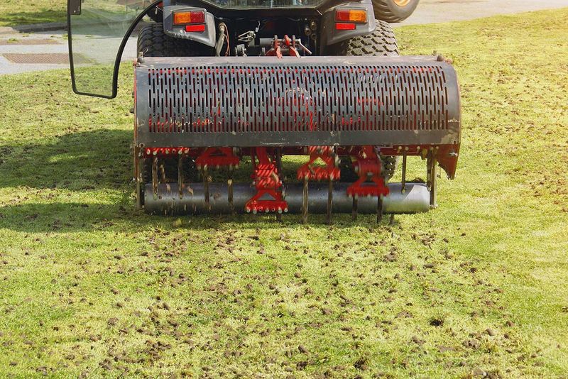 Preparation For Overseeding Success