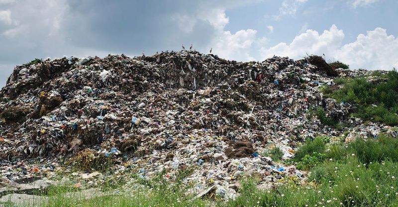 Landfills Are Overflowing With Yard Waste