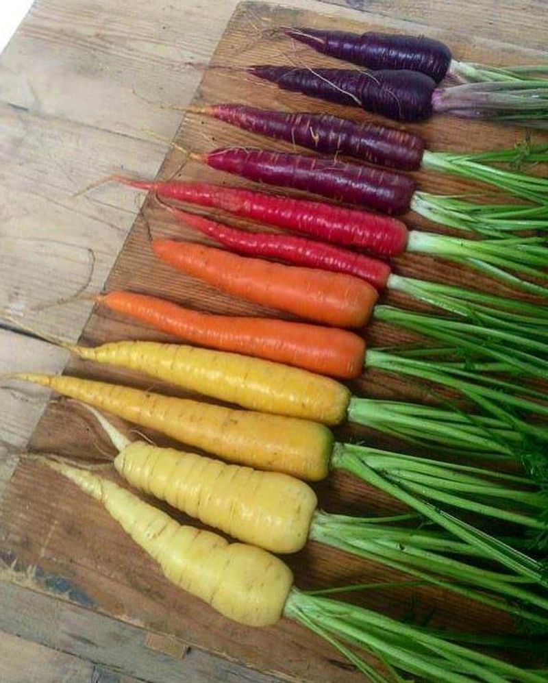 Carrots