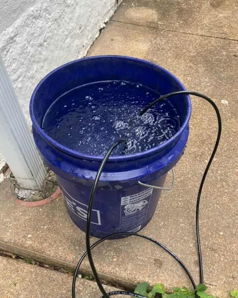 Compost Tea Applications For Microbial Boost