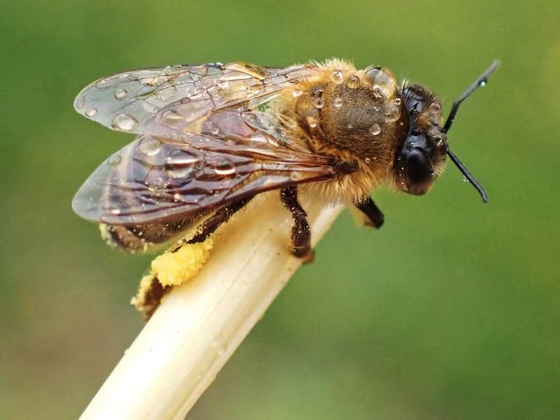 Climate Change And Drought