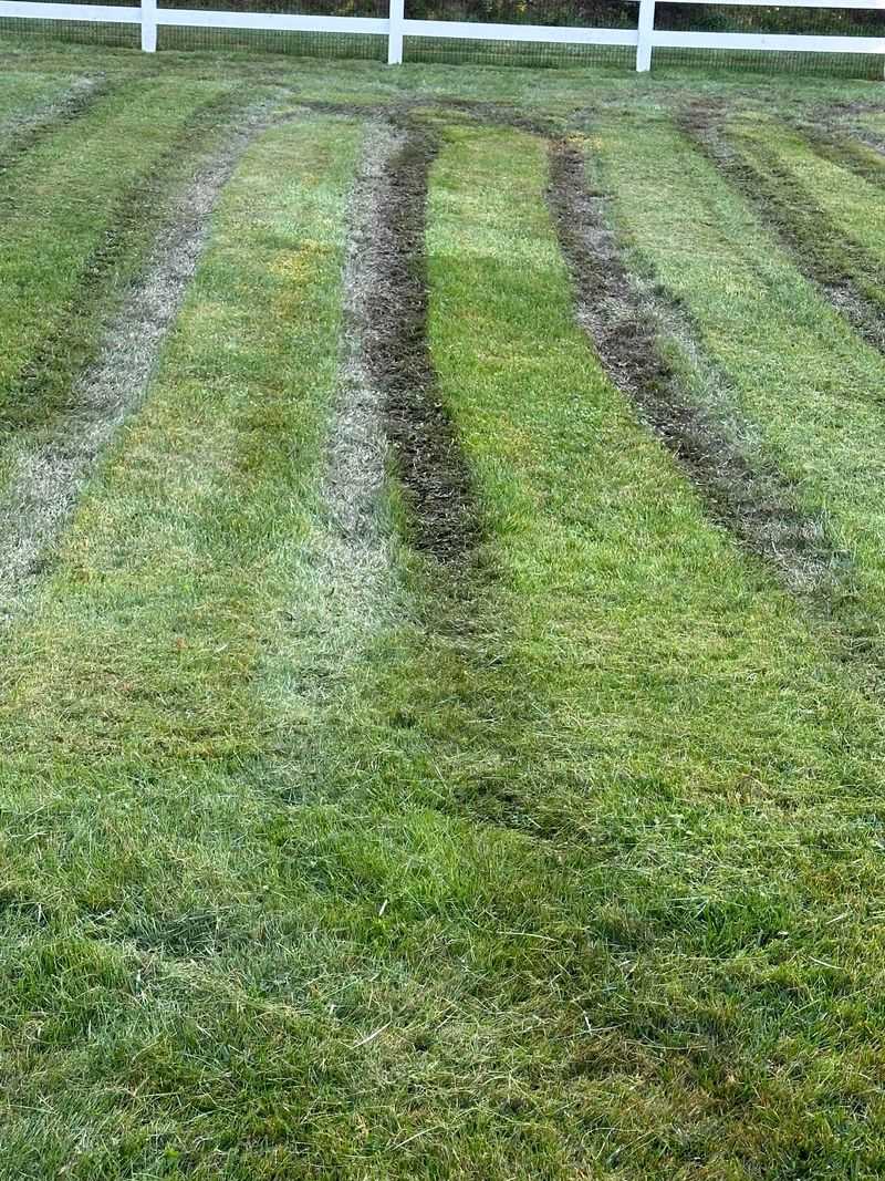 Reduce Mowing Frequency As Growth Slows
