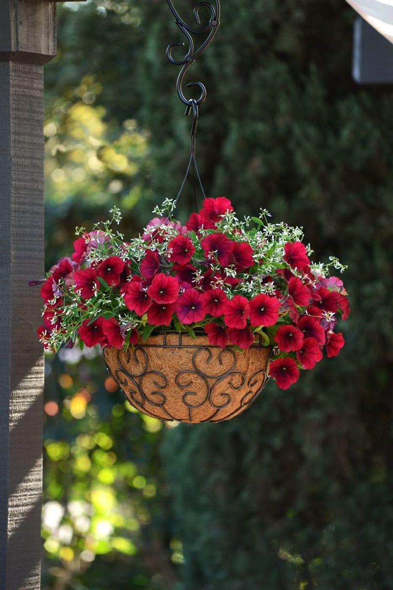 Fill Containers And Hanging Baskets With Ease