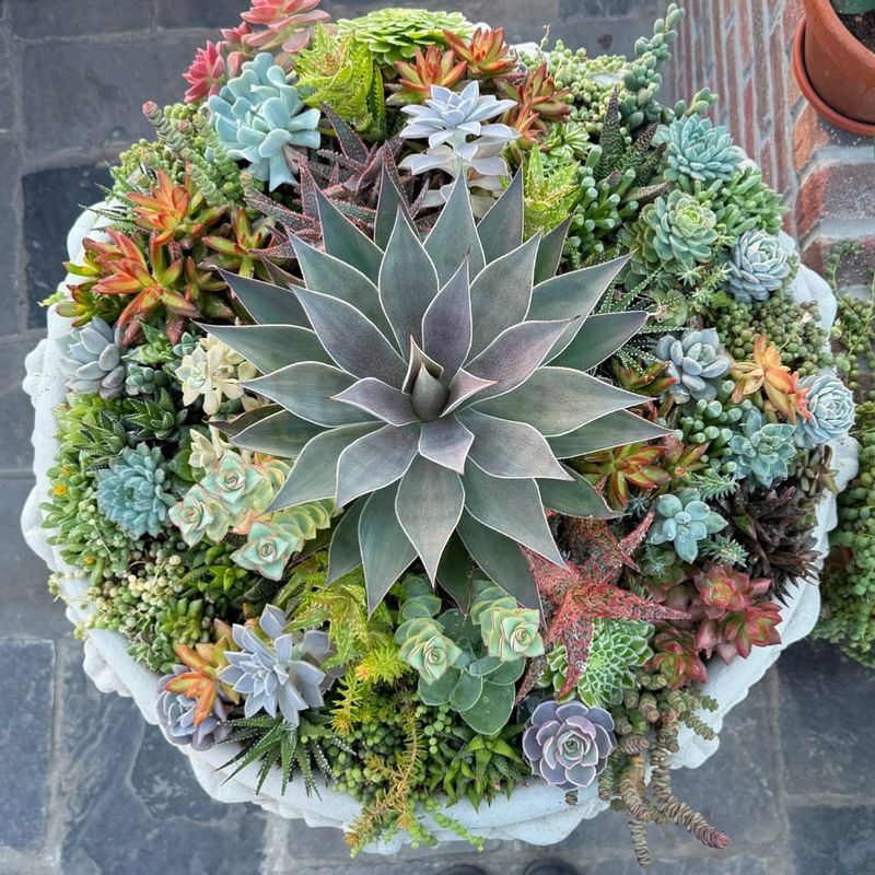 Birdbath Garden Conversion