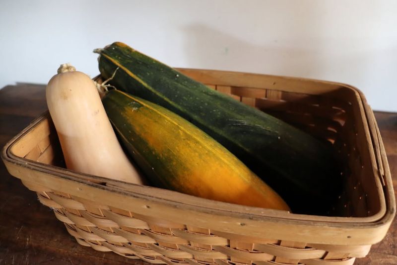 Cure Your Squash Properly