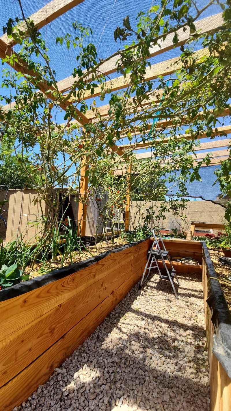 North-Facing Garden Walls or Fences