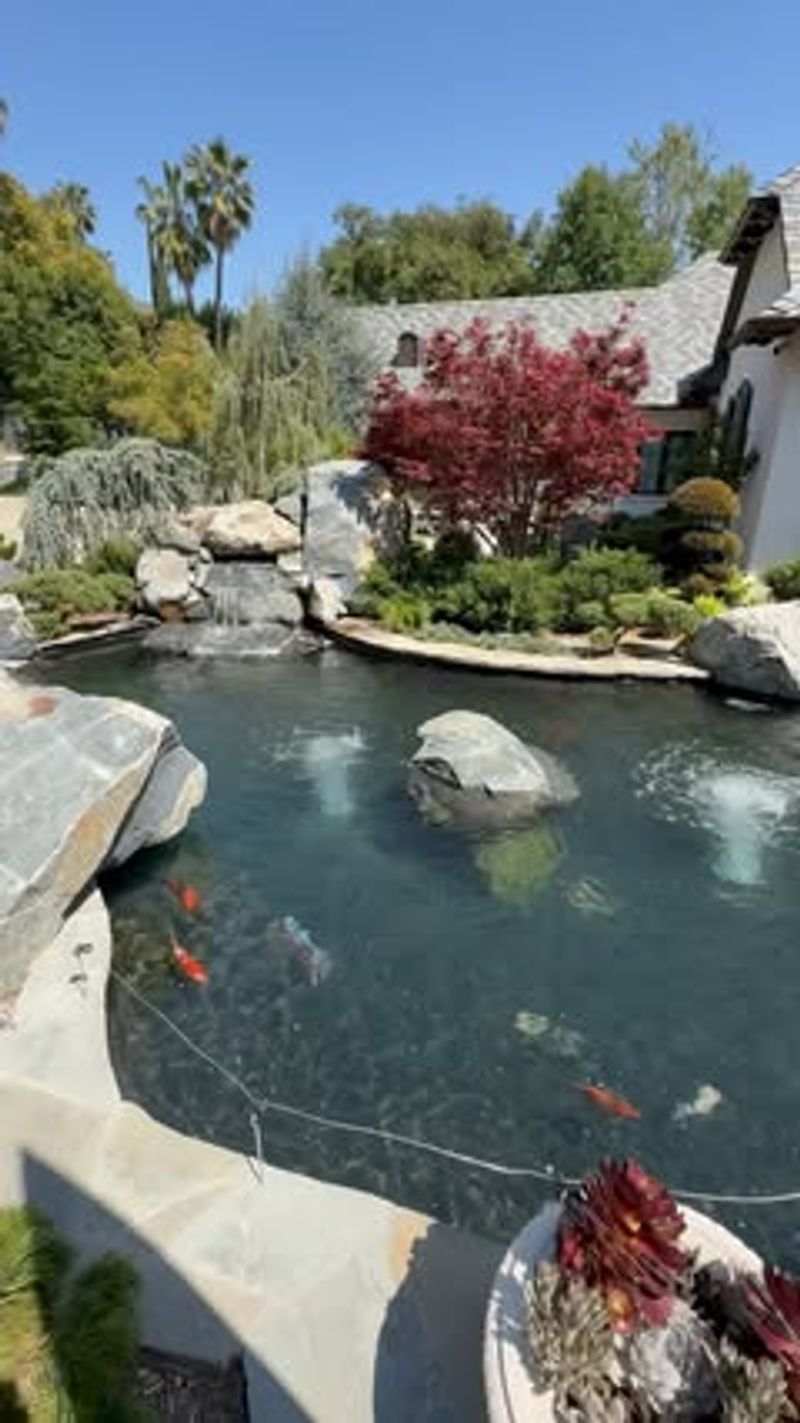 Koi Ponds