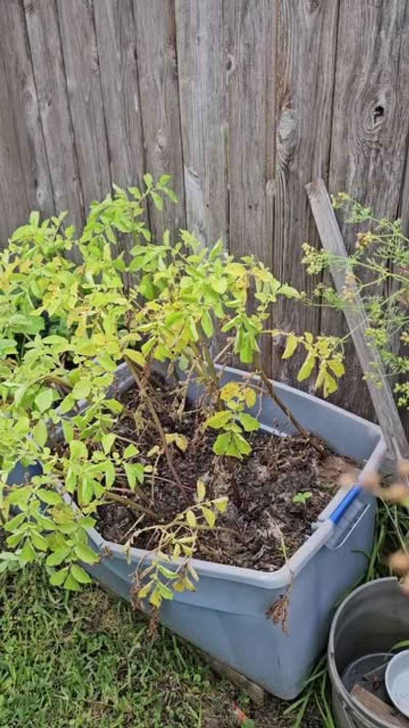 Water Consistently And Deeply