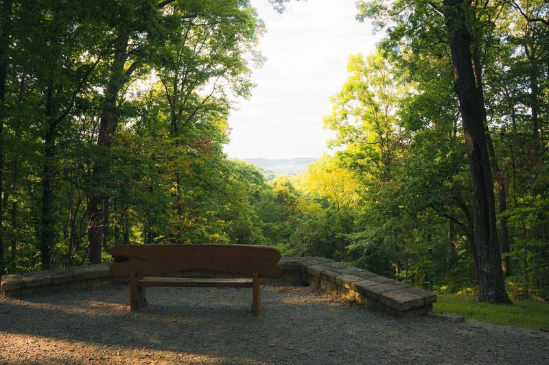 Sunset Picnics At Edwin Warner Park