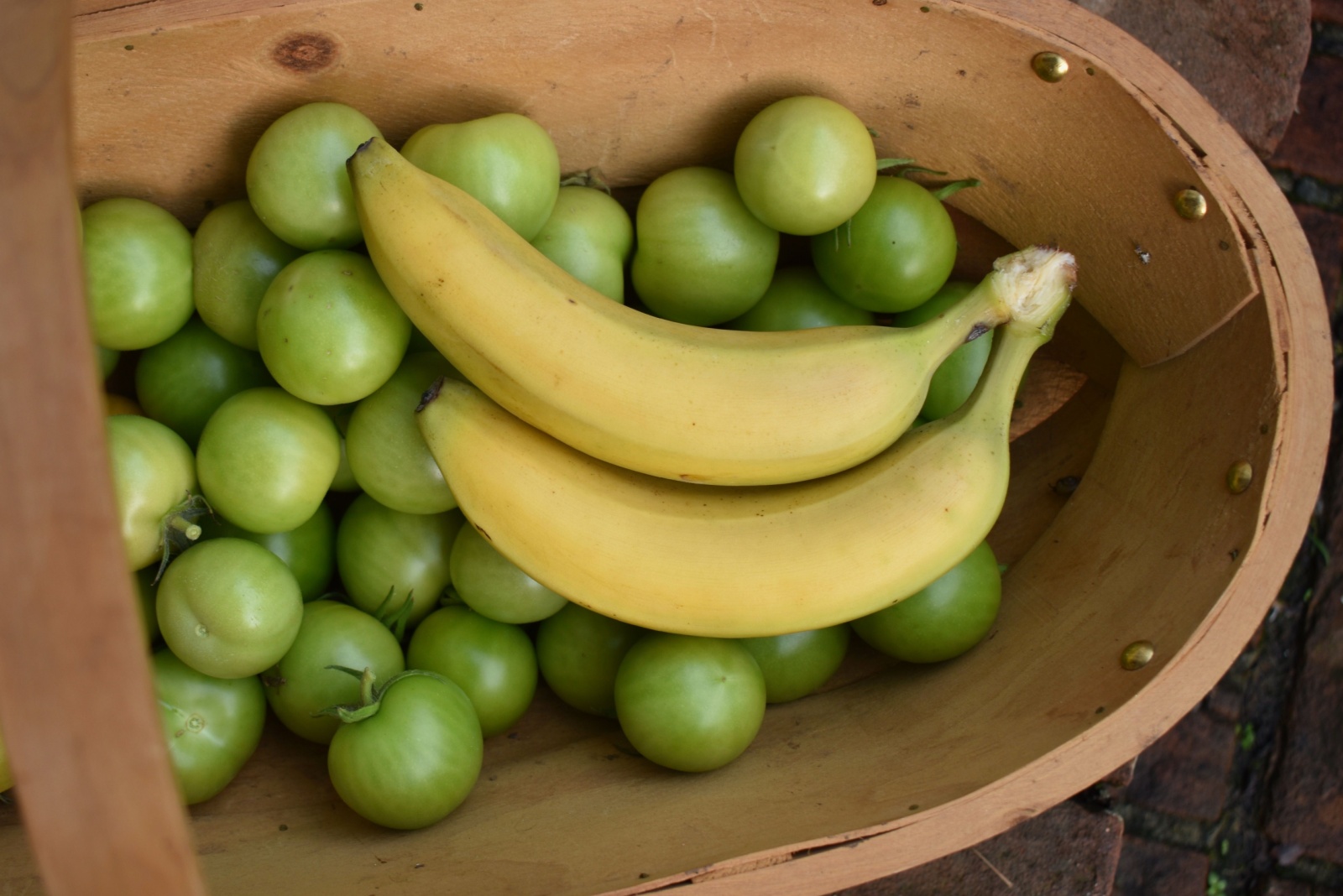 How Ohio Gardeners Ripen Green Tomatoes Before Cold Weather Arrives